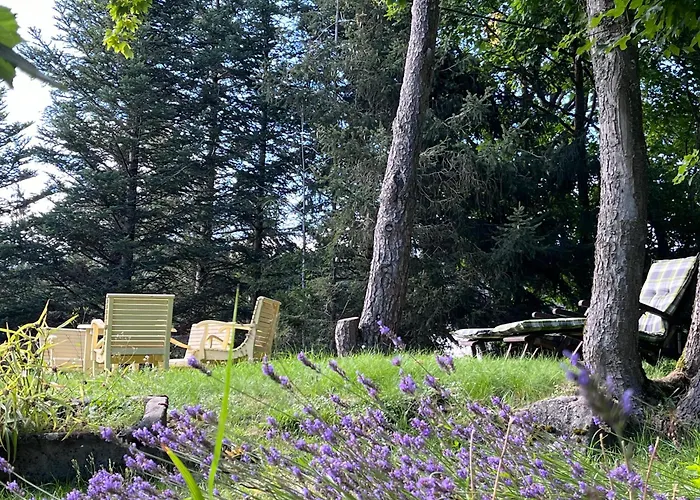 Les Fermes De Pinpin - Le Pavillon Holiday home Labaroche